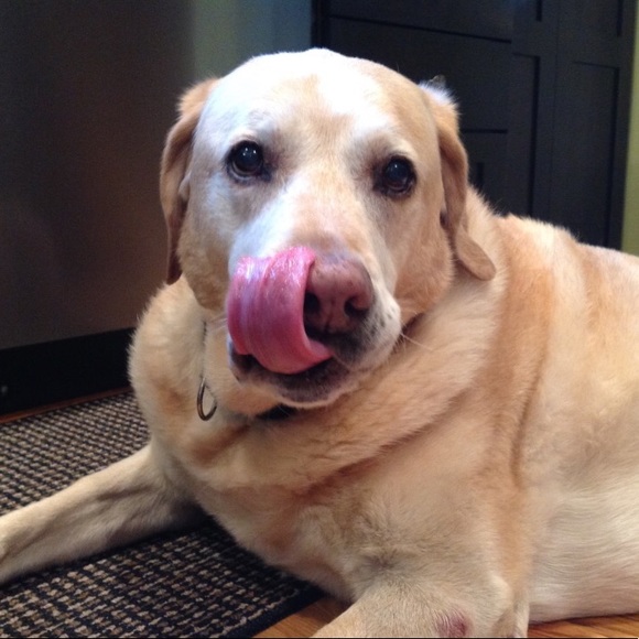 Meet your Posher, Sabine - Picture 5 of 6